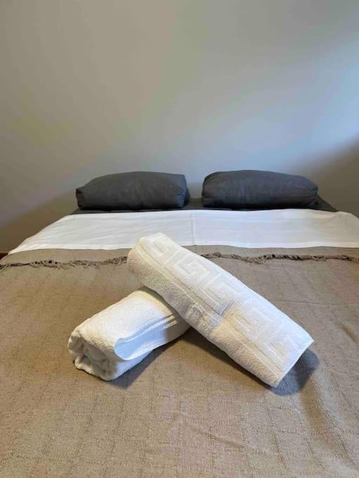 Appartement Piso Pineta à Bielsa Extérieur photo